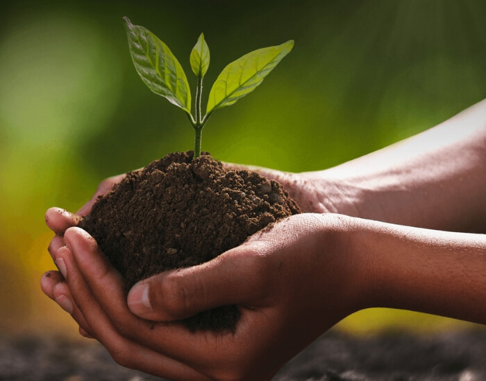 Versatile. Sustainability
