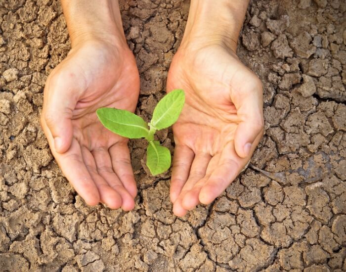 Water Conservation22