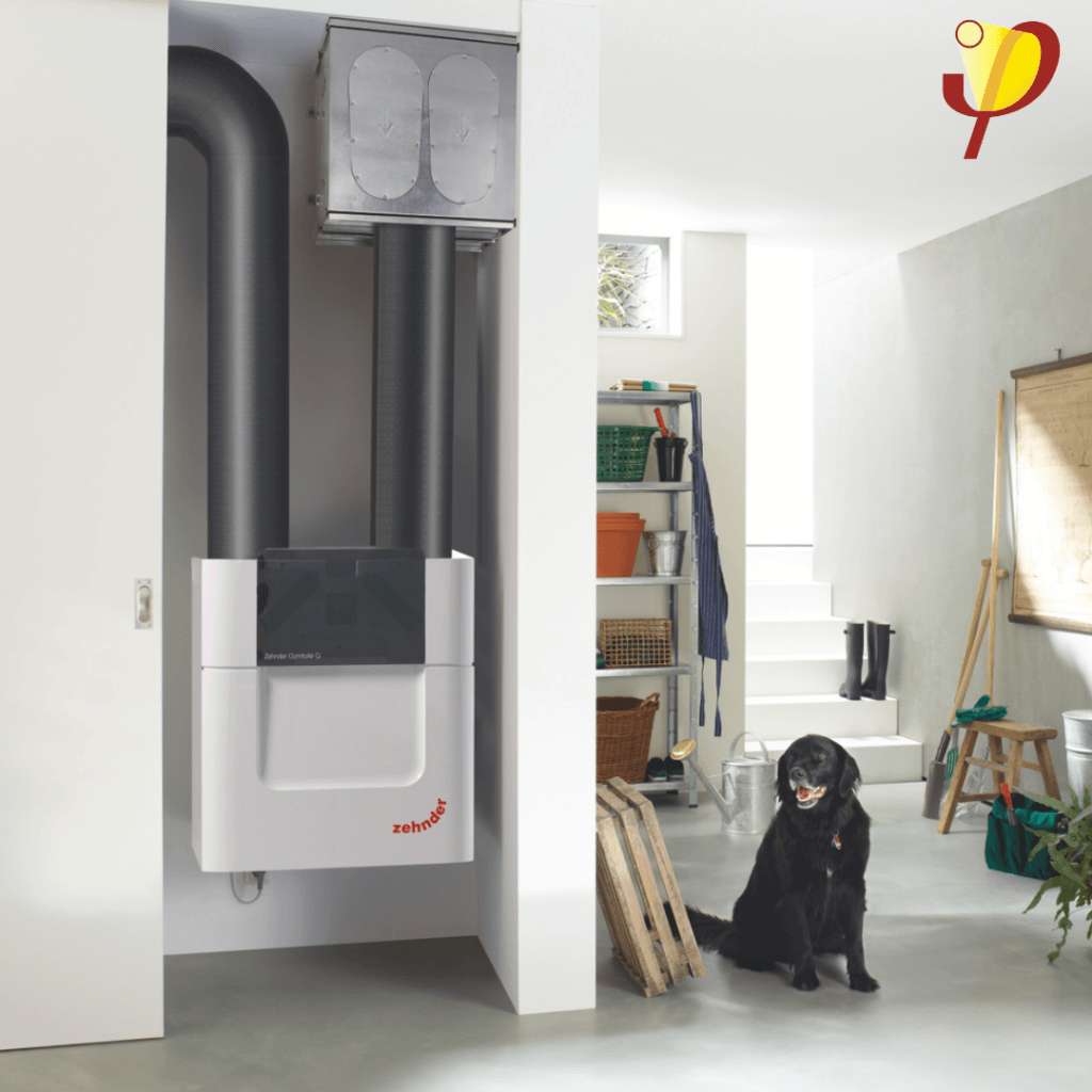 Comfo_family_passive